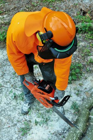 MSA V-Gard 500 Waldarbeiter-Schutzhelm mit Gehörschutz, Nackenschutz & Visier (Bild 2)