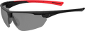 ACE Evo Schutzbrille (Bild 1)