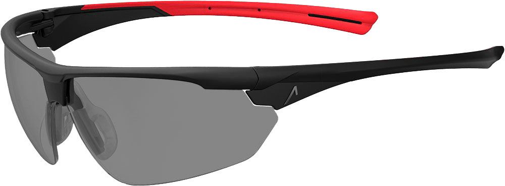 ACE Evo Schutzbrille (Bild 1)