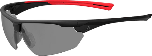 ACE Evo Schutzbrille (Bild 1)