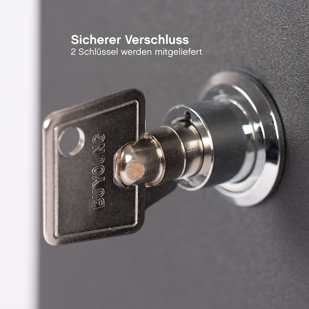 ACE Public Alkoholtester mit Video-Rahmen (Bild 2)