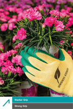 3 Paar ACE Garden Eden Gartenhandschuhe (Bild 4)